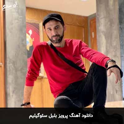 دانلود آهنگ سئوگیلیم پرویز بلبل